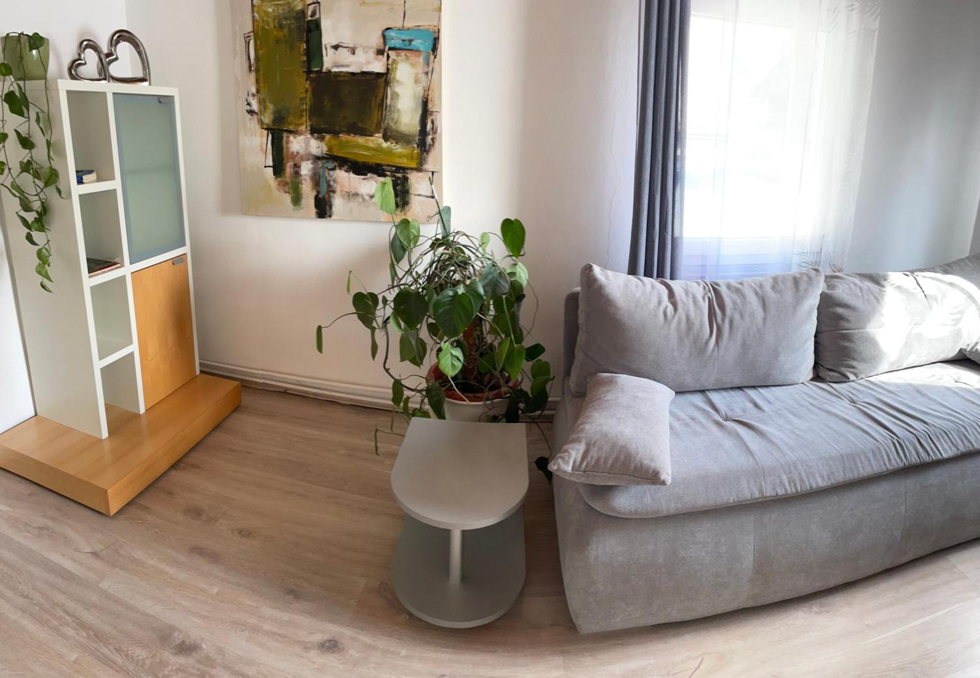 Schrammi'S Ferienwohnung Schwanau Eksteriør bilde