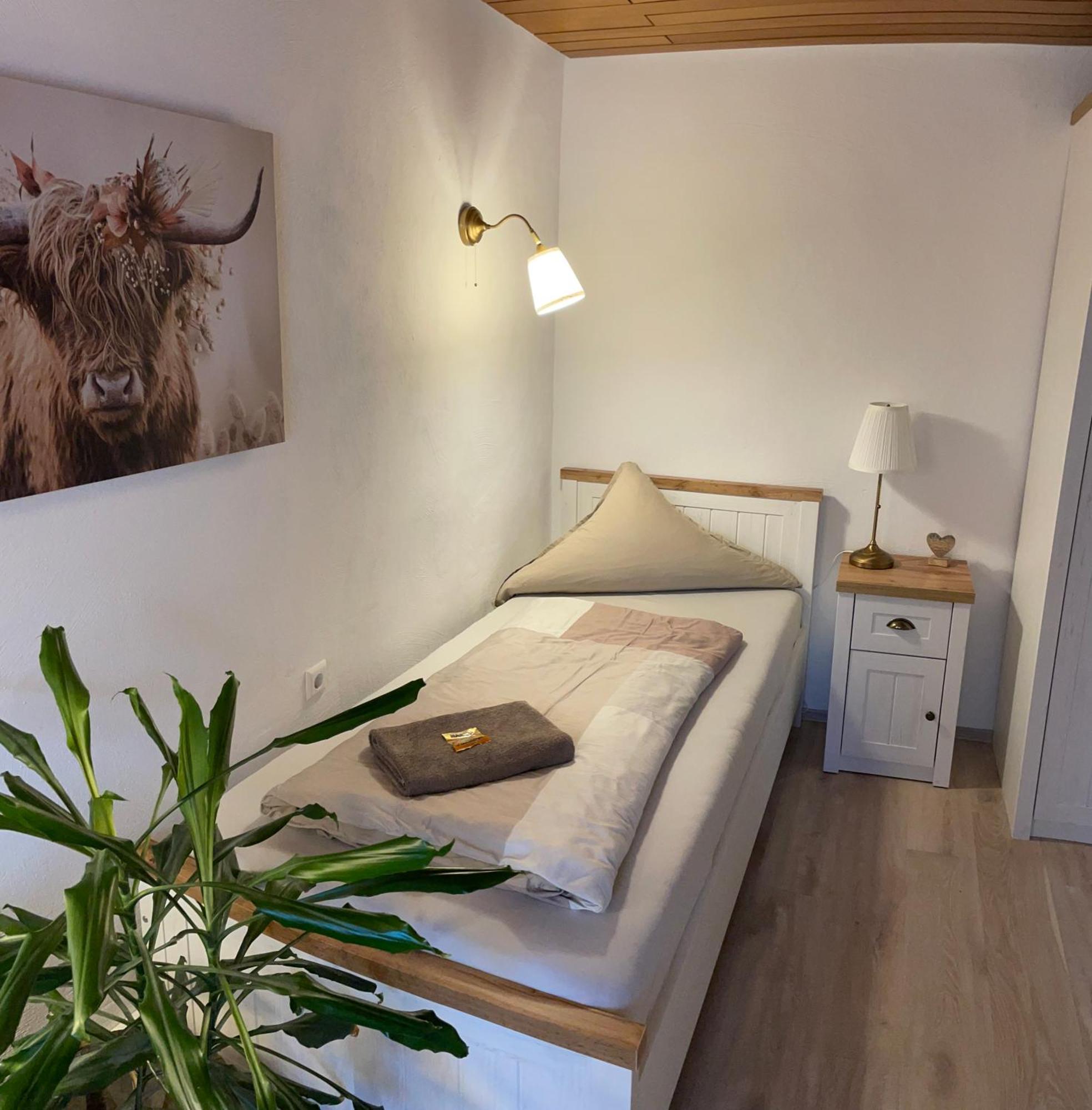 Schrammi'S Ferienwohnung Schwanau Eksteriør bilde